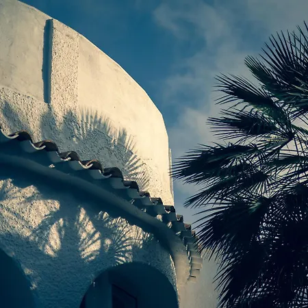 Buena Vida By Abahana Javea